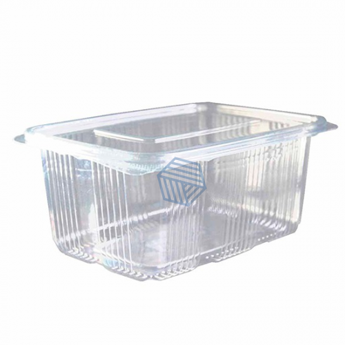 კონტეინერი ერთჯერადი 2000გრ 1=100X0.3